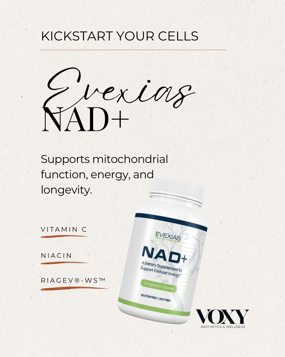 Ultimate Longevity Bundle