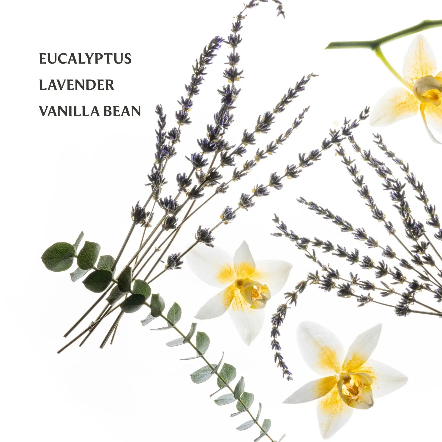 Power Mist Hydrating Hand Sanitizer