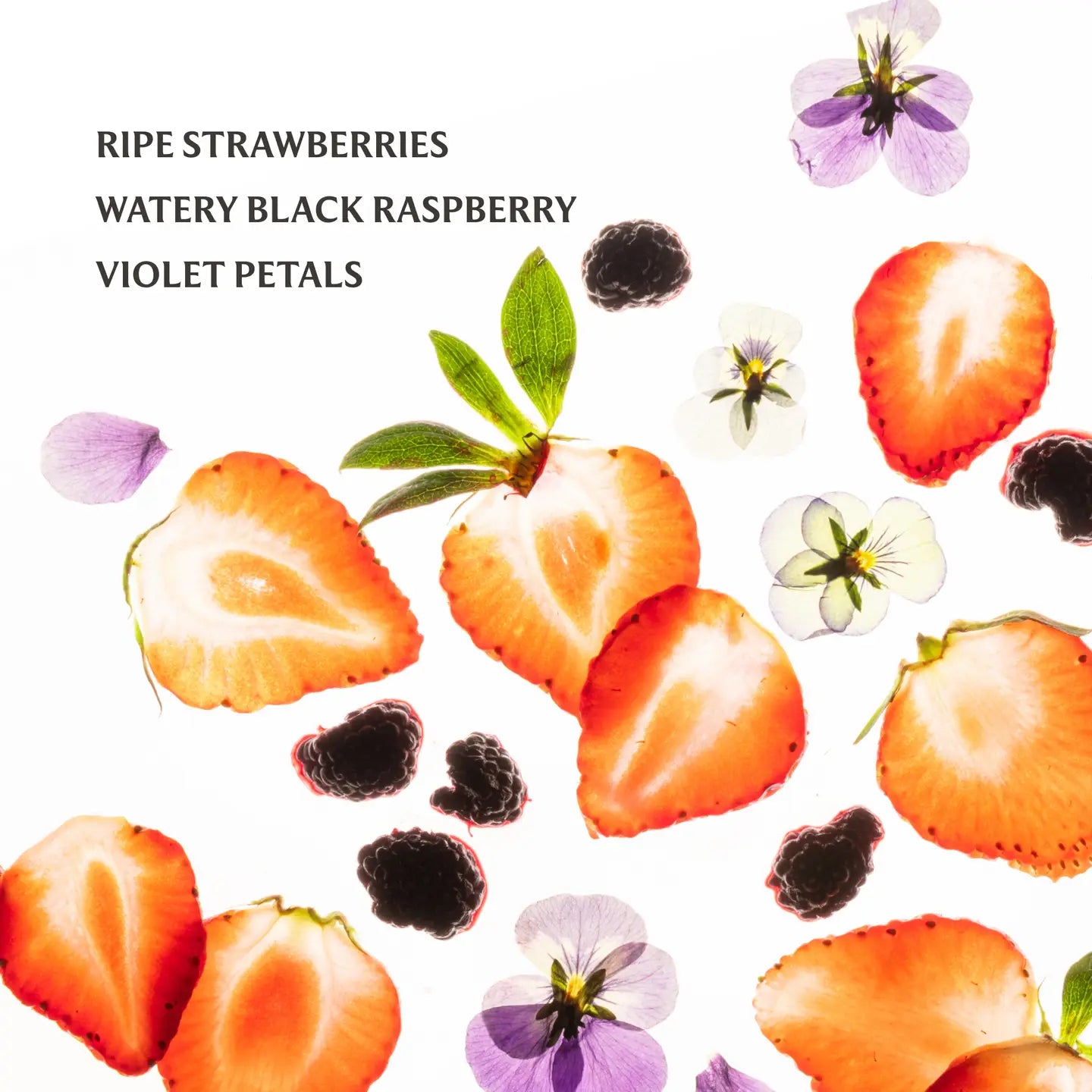 Power Mist Hydrating Hand Sanitizer