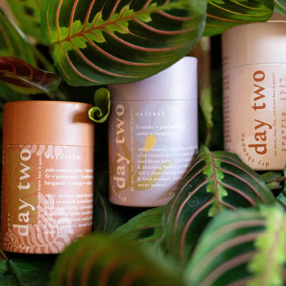 Day Two 100% Natural Dry Shampoo